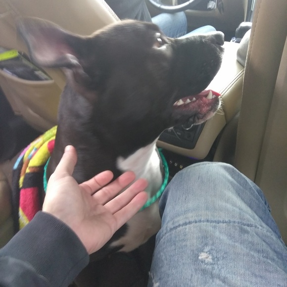 Meet your Posher, John - Picture 5 of 5